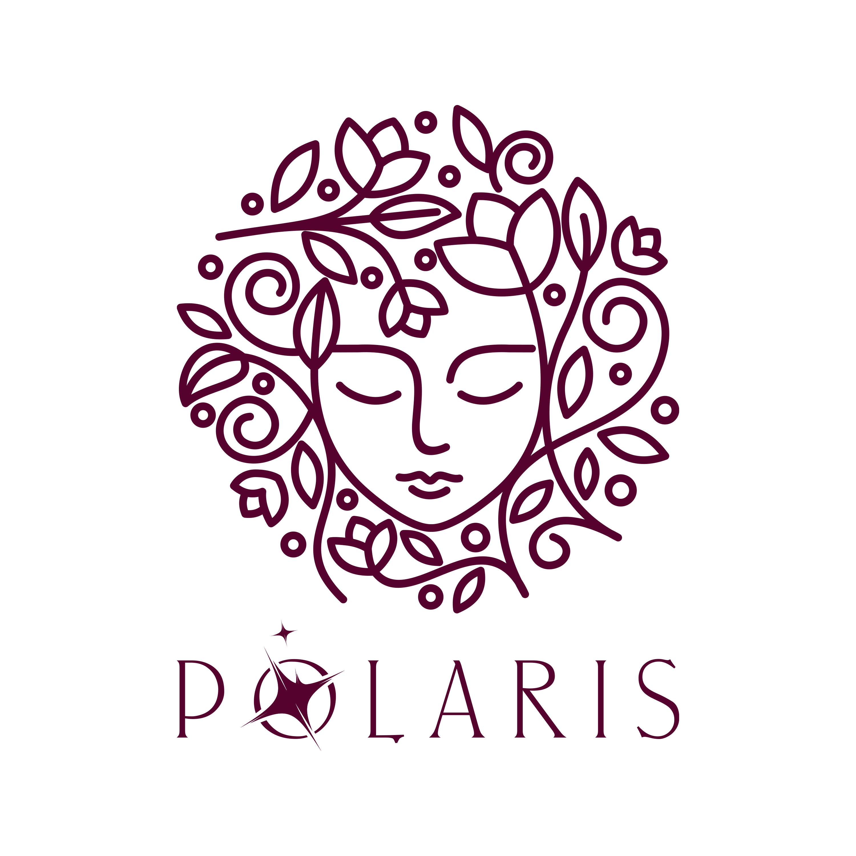 Hair polaris